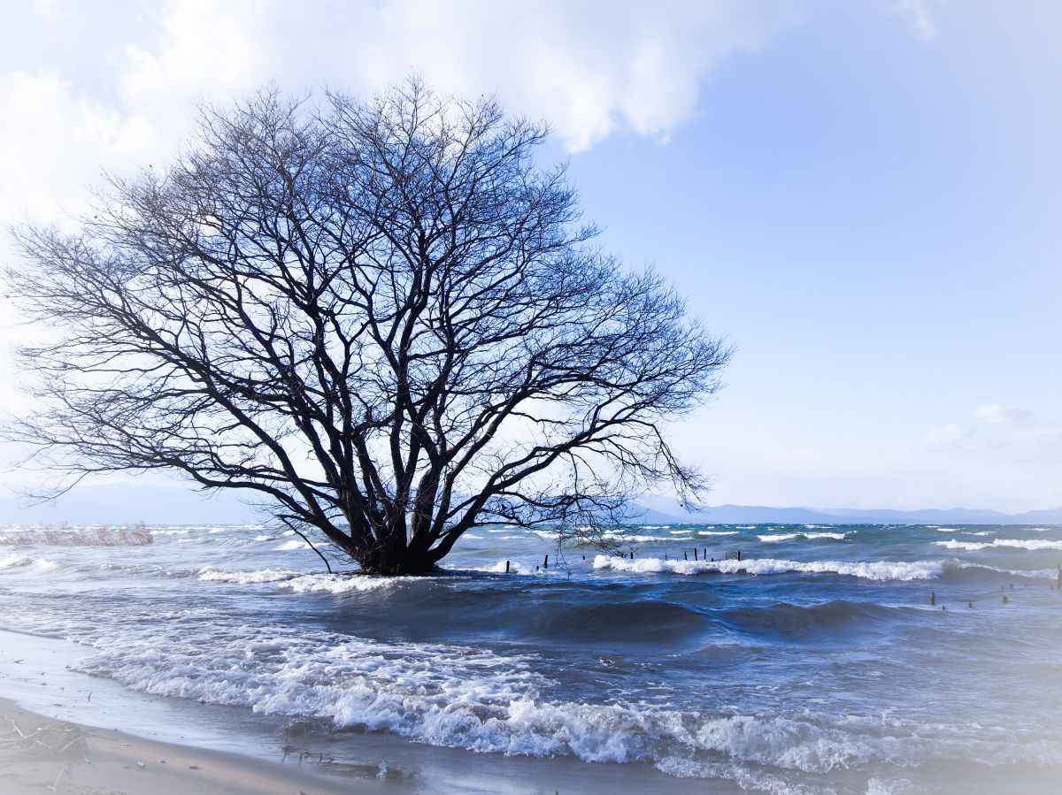 心洗われる思い 自然 風景 湖沼 Ganref