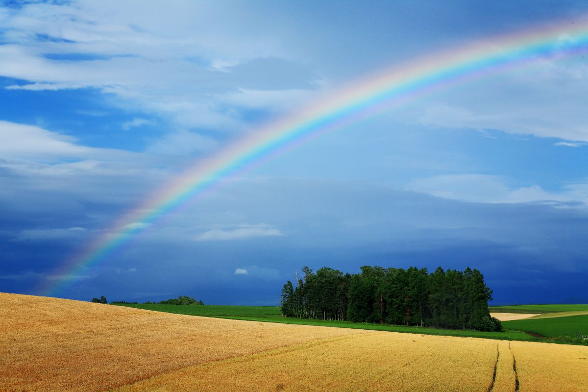 雨上がりの空に 自然 風景 大地 Ganref
