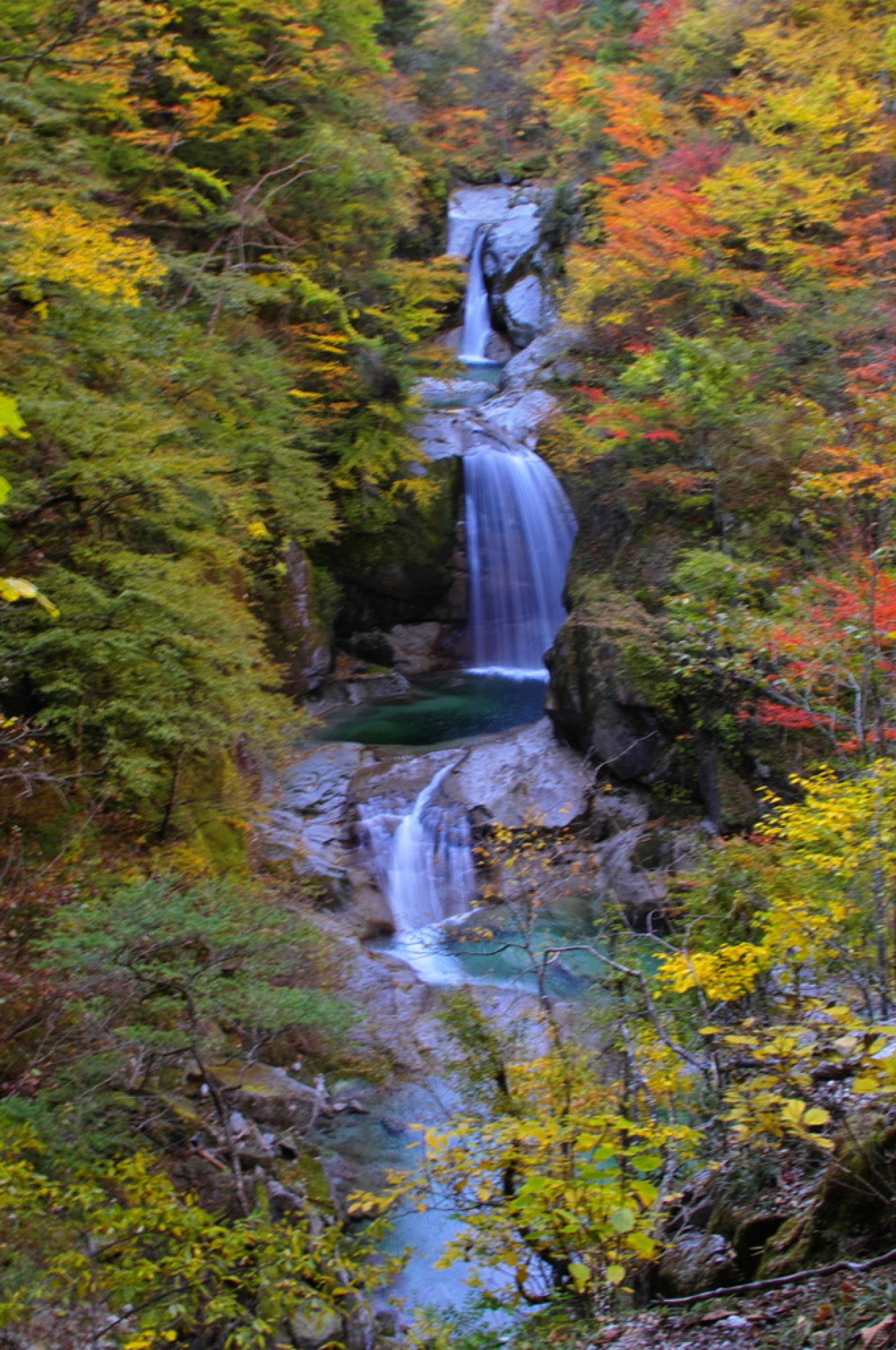 秘瀑 : 台高山脈珠玉の渓 秘瀑 : 台高山脈珠玉の渓 - アート/エンタメ/ホビー卸売 通販