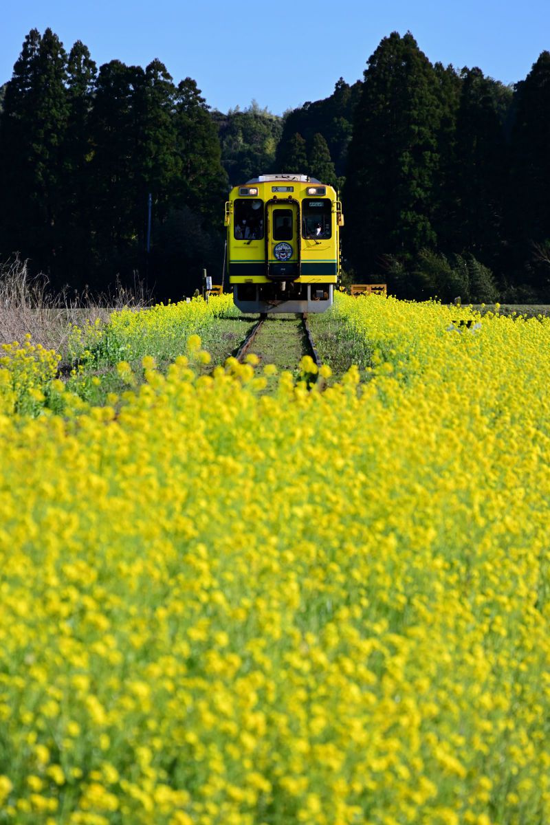 一本道 乗り物 交通 鉄道 駅 Ganref