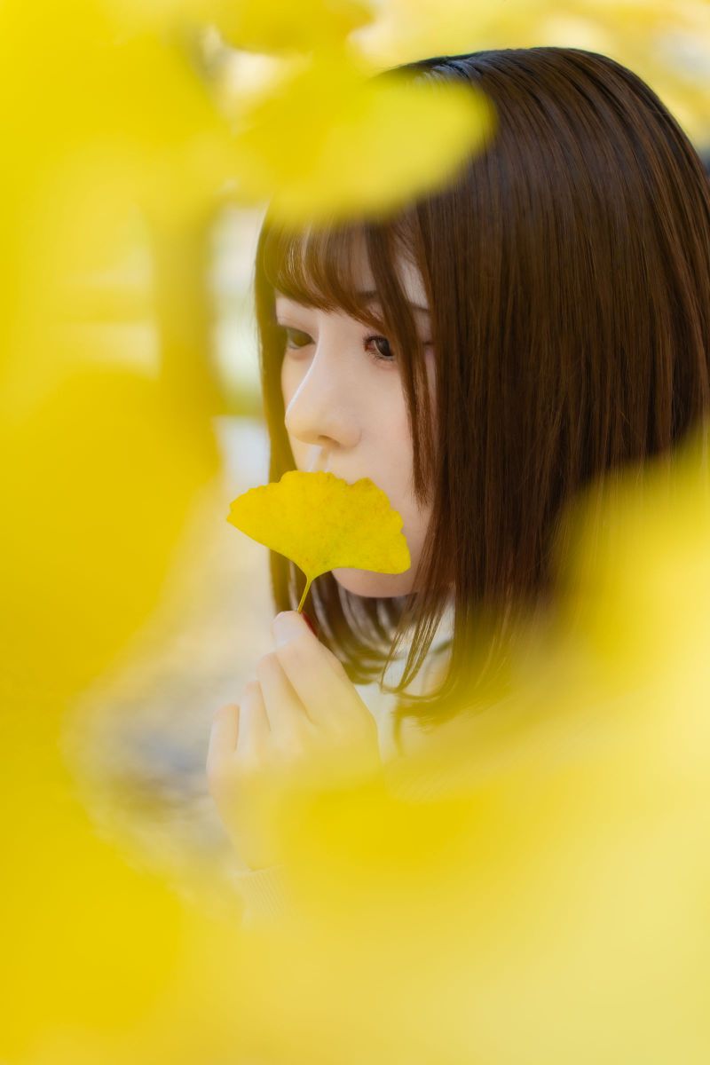 黄色の世界 GANREF