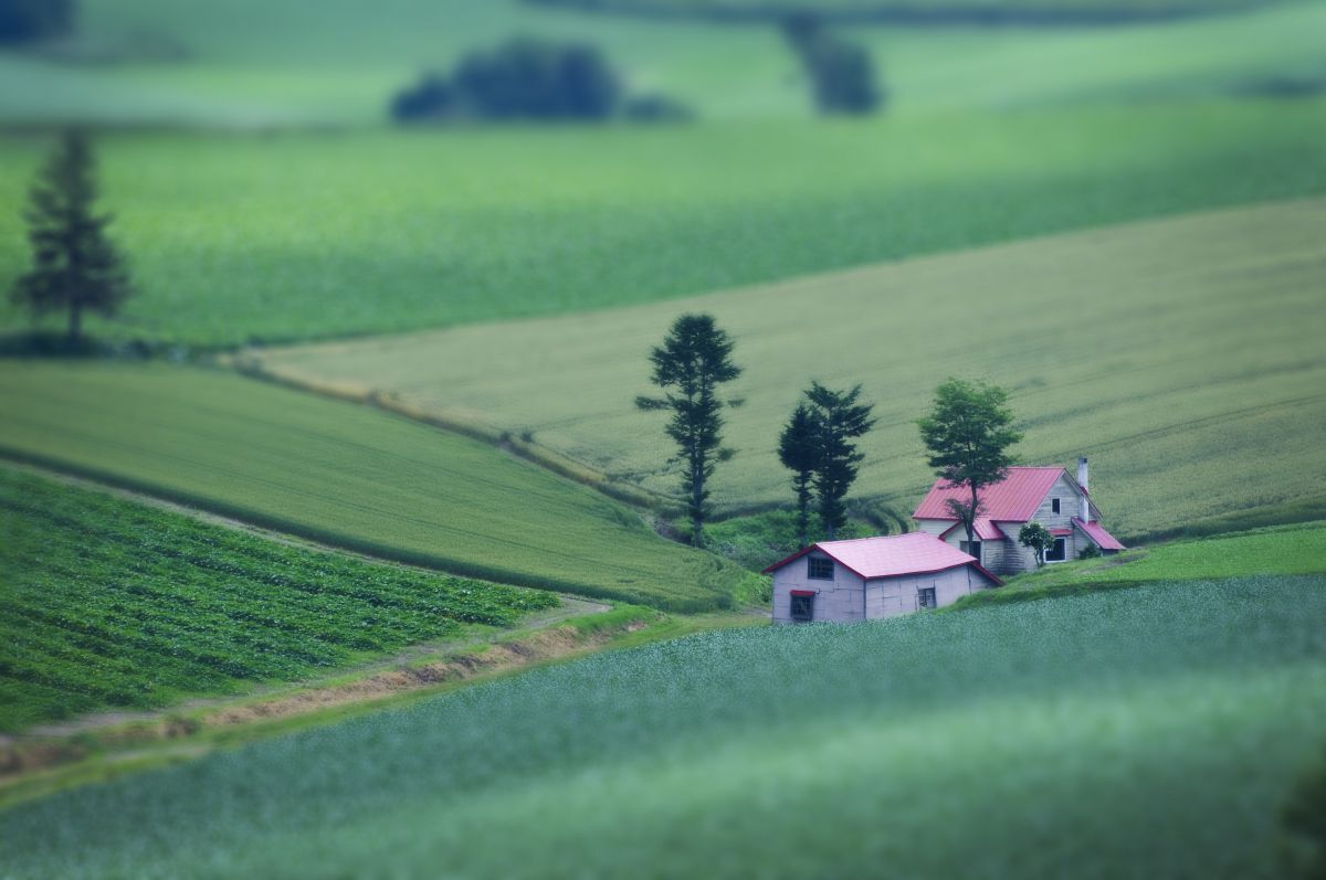 メルヘンの丘 自然 風景 大地 Ganref