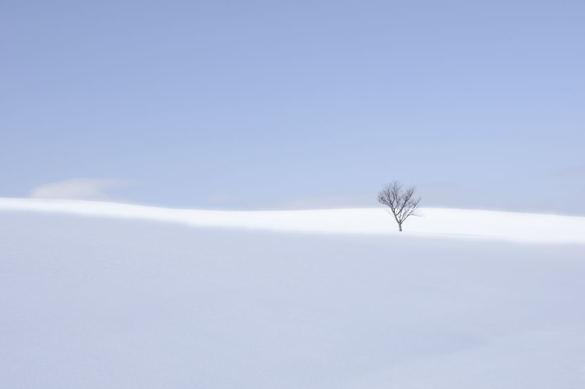 AF-S DX VR Zoom-Nikkor 18-200mm f/3.5-5.6G IF-EDで撮影された写真