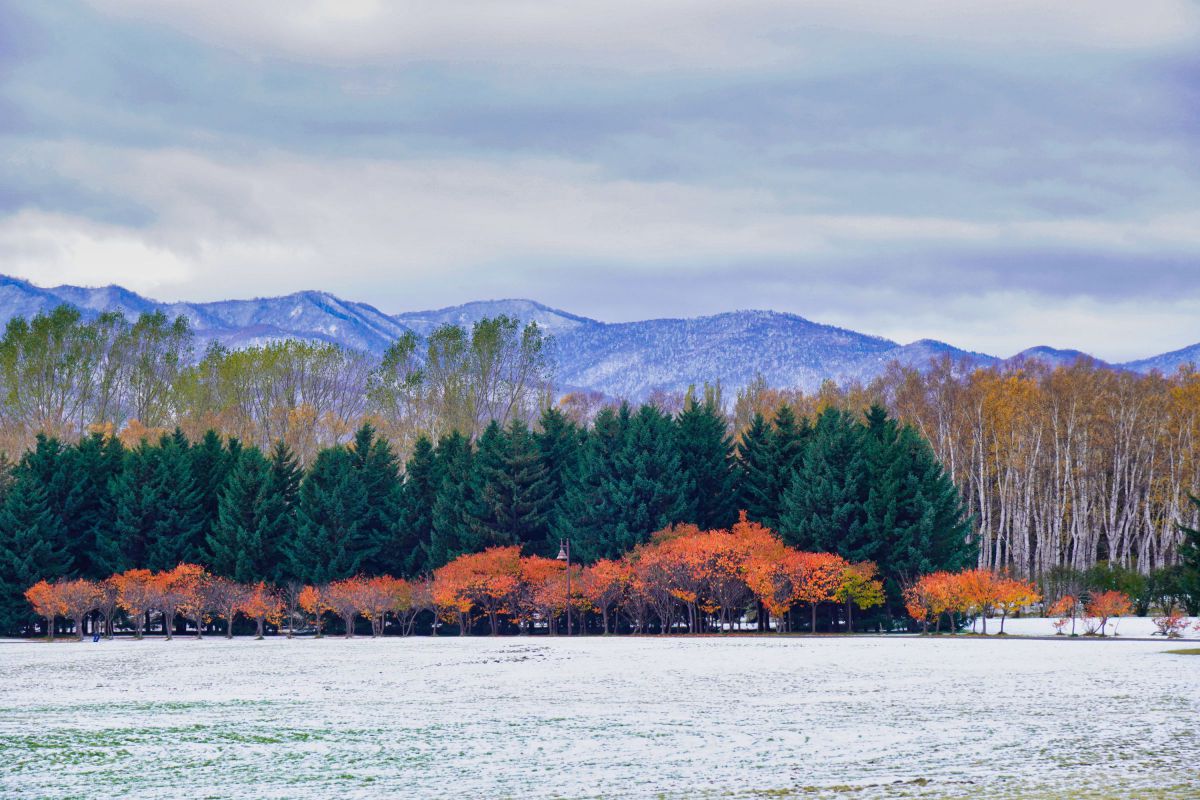 Vario-Tessar T* E16-70mm F4 ZA OSSで撮影された写真 | 写真 Vario-Tessar T* E16-70mm F4 ZA OSSで撮影された写真 | 写真