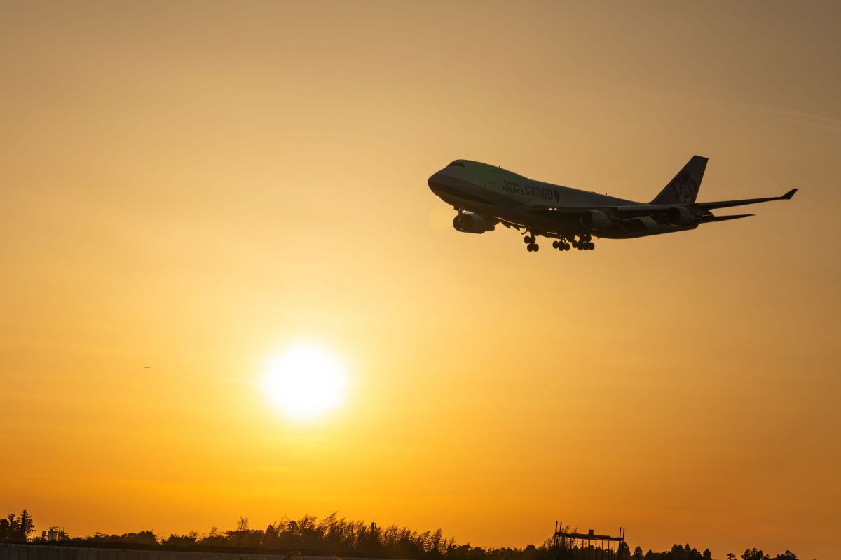 Ai AF Zoom-Nikkor 80-200mm f/2.8D ED ＜NEW＞で撮影された写真