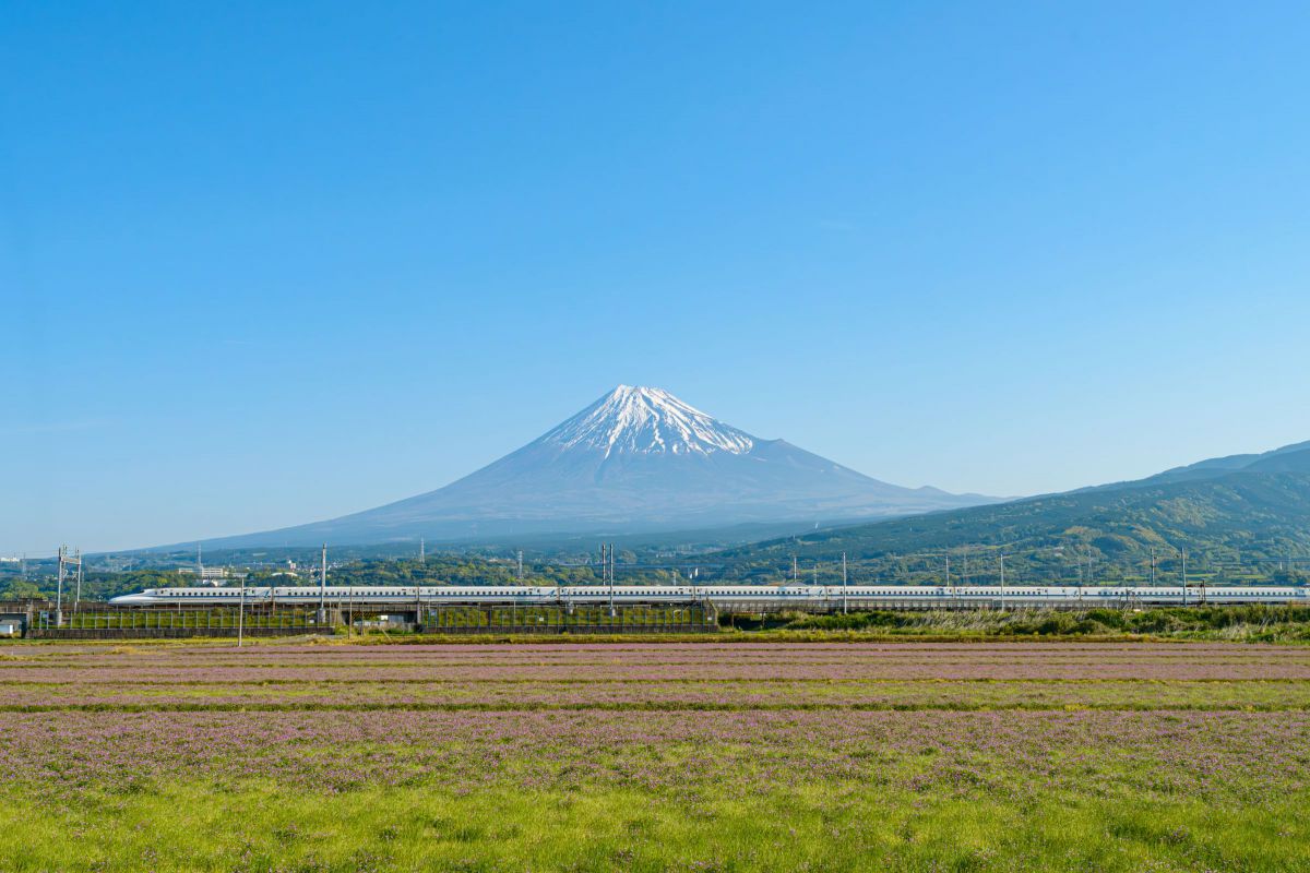 Ai AF-S Zoom-Nikkor 17-35mm f/2.8D IF-EDで撮影された写真 | 写真