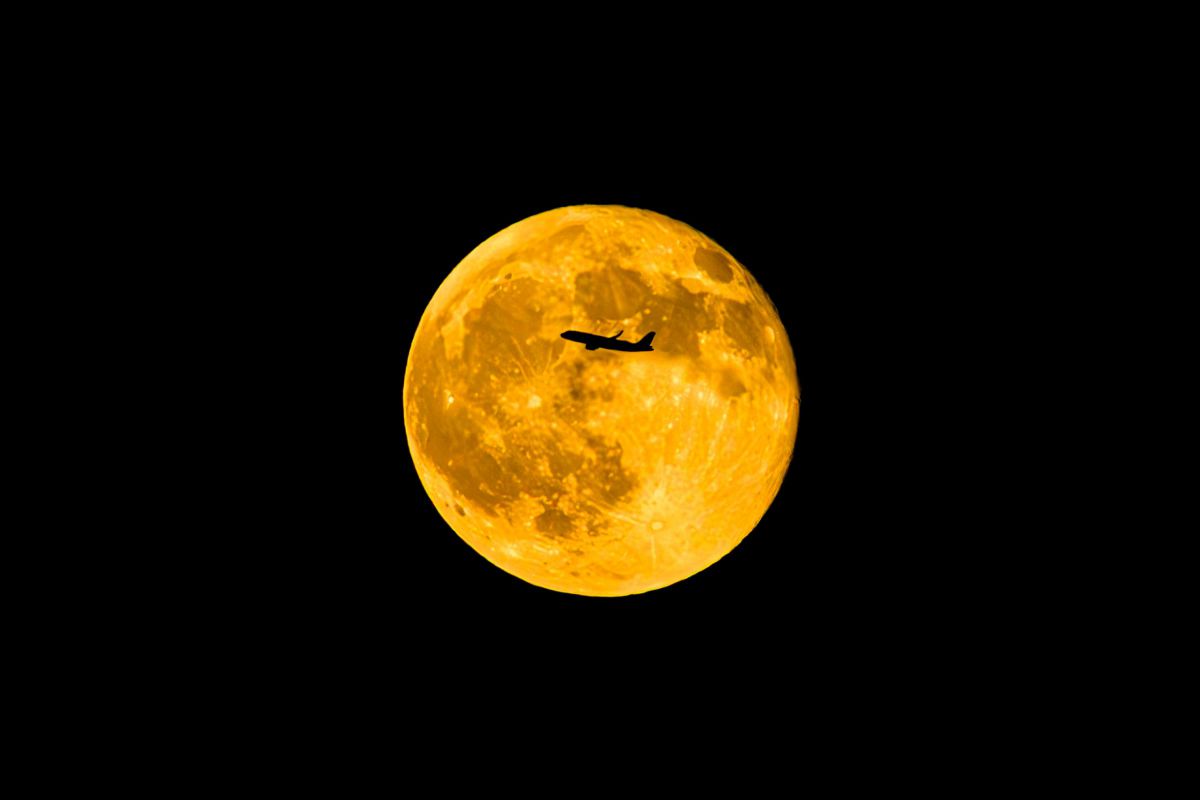 moon flight | GANREF
