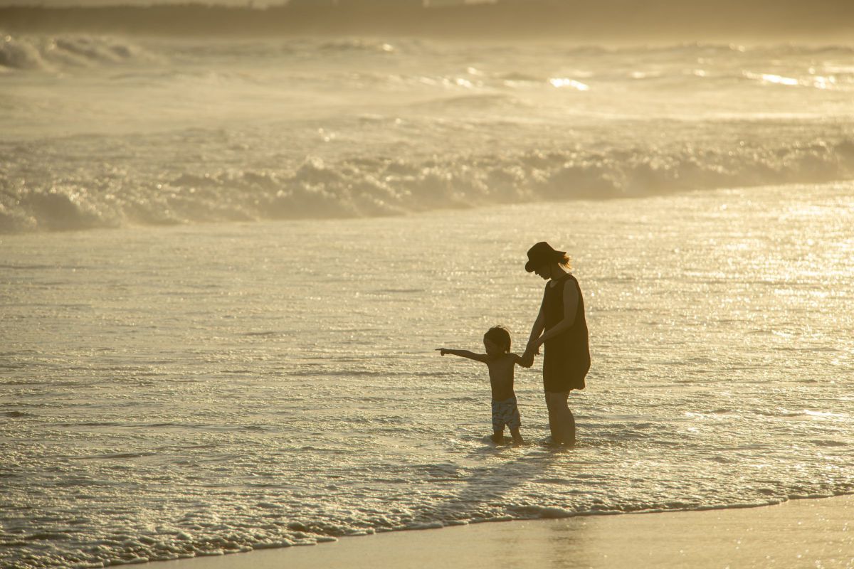 Ai AF VR Zoom-Nikkor 80-400mm f/4.5-5.6D EDで撮影された写真 | 写真