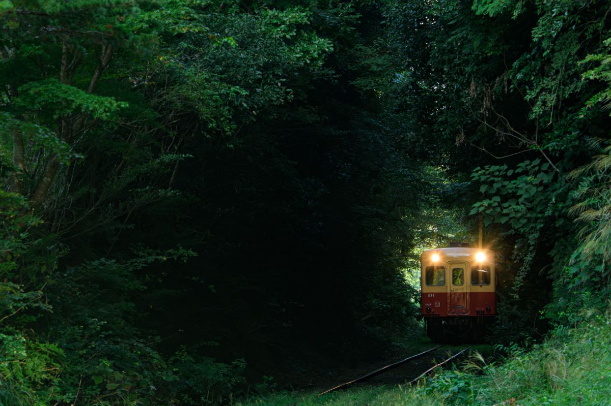 鉄道写真利器 Nikon AF VR 80-400mm f/4.5-5.6D Ai AF VR Zoom-Nikkor 80-400mm f/4.5-5.6D EDで撮影された写真 | 写真