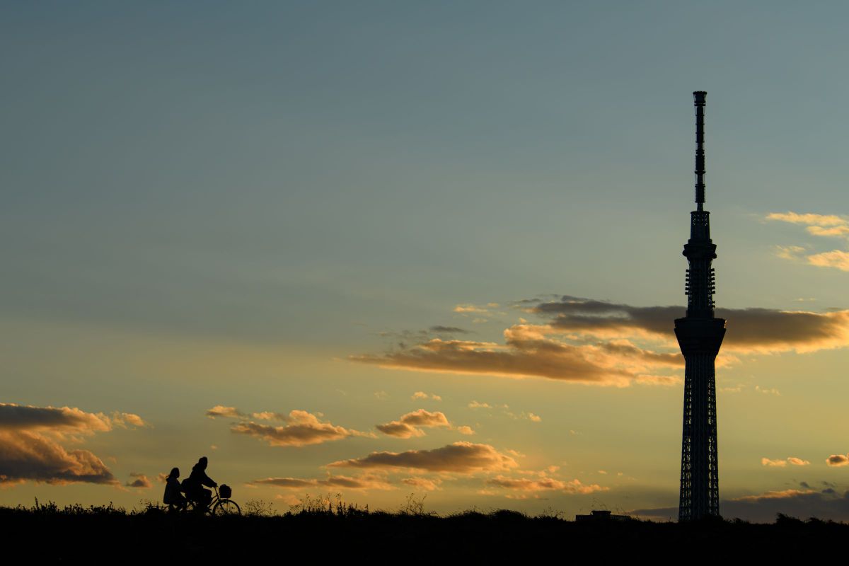 Ai AF VR Zoom-Nikkor 80-400mm f/4.5-5.6D EDで撮影された写真 | 写真