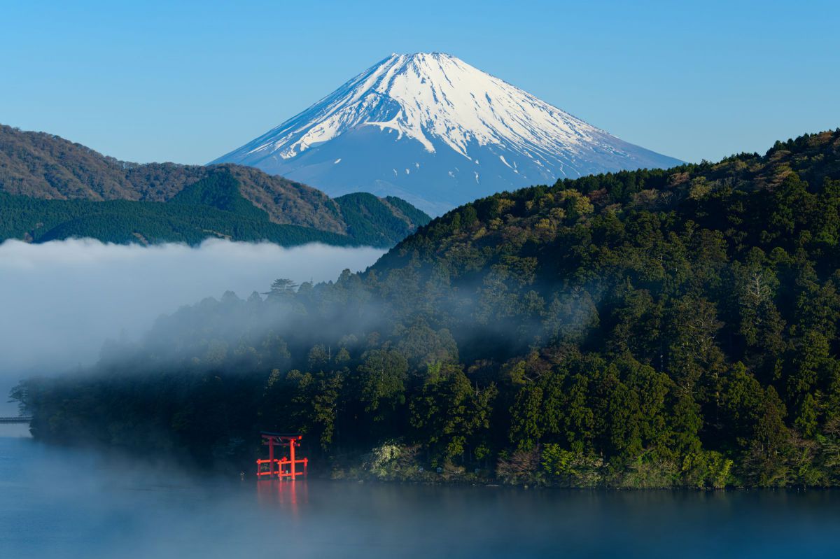 Ai AF VR Zoom-Nikkor 80-400mm f/4.5-5.6D EDで撮影された写真 | 写真