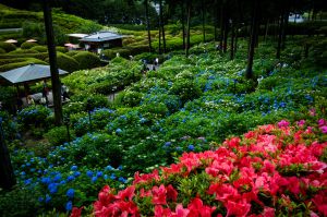 初夏の里山風景Ⅱ | GANREF