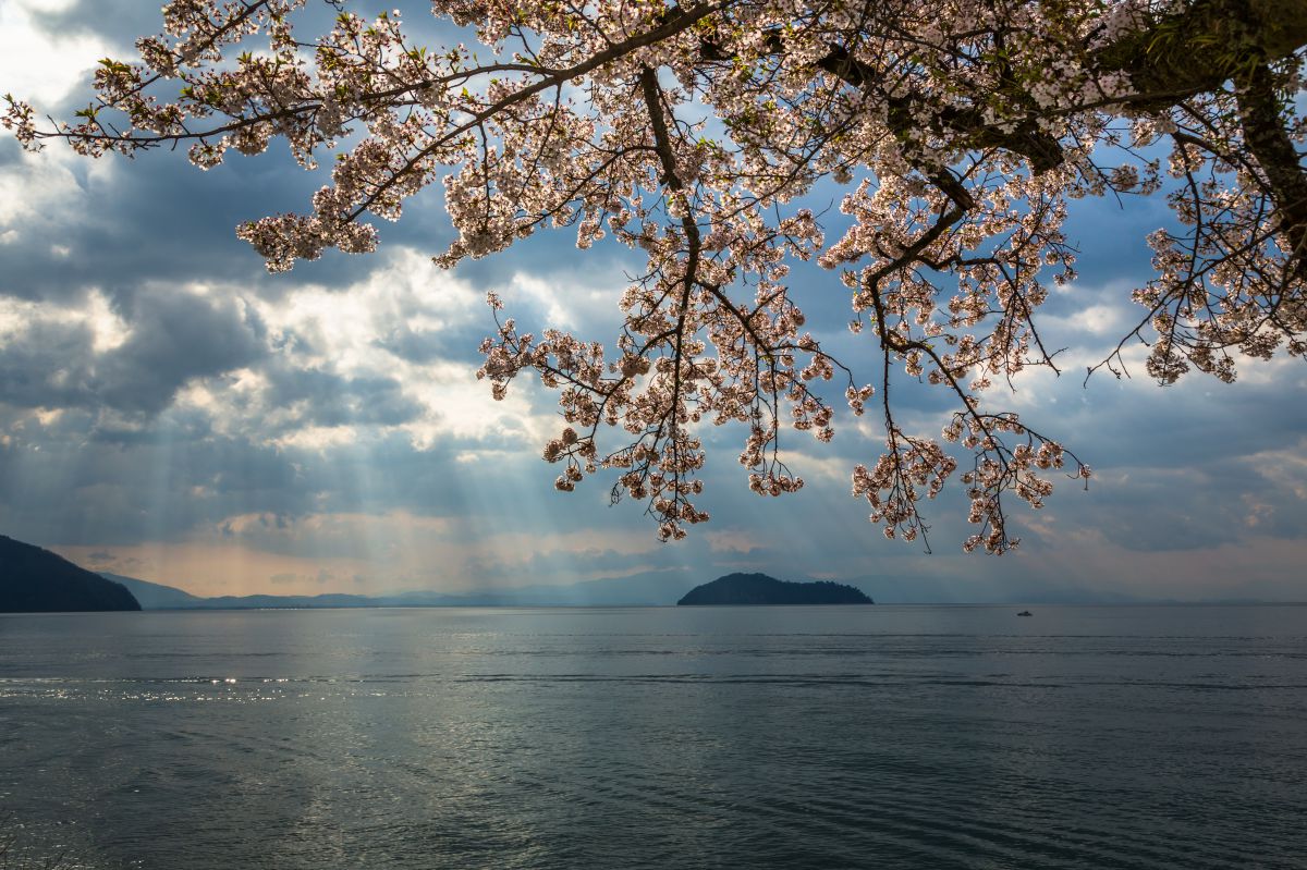 琵琶湖春景色 自然 風景 湖沼 Ganref