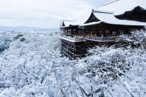 787dd0541219356460f297d0bd1997