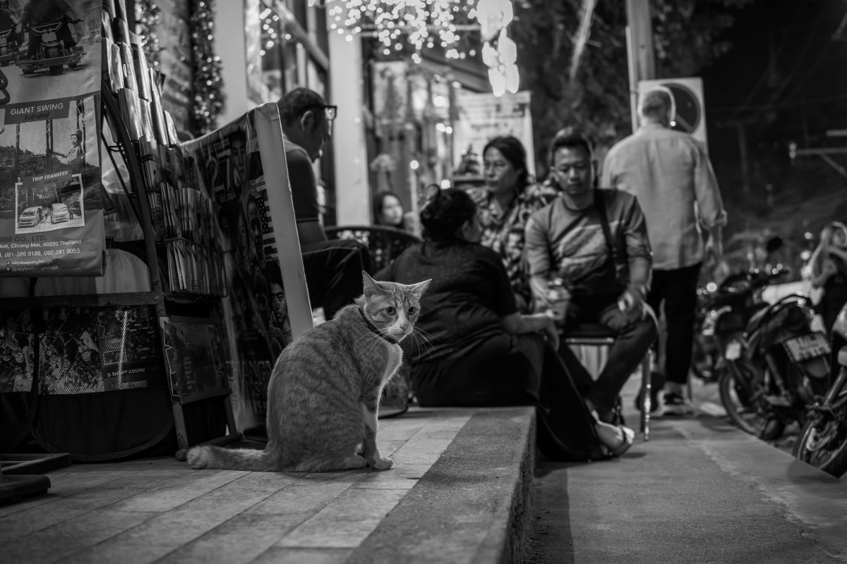 ひろぽんさんのポートフォリオ | GANREF