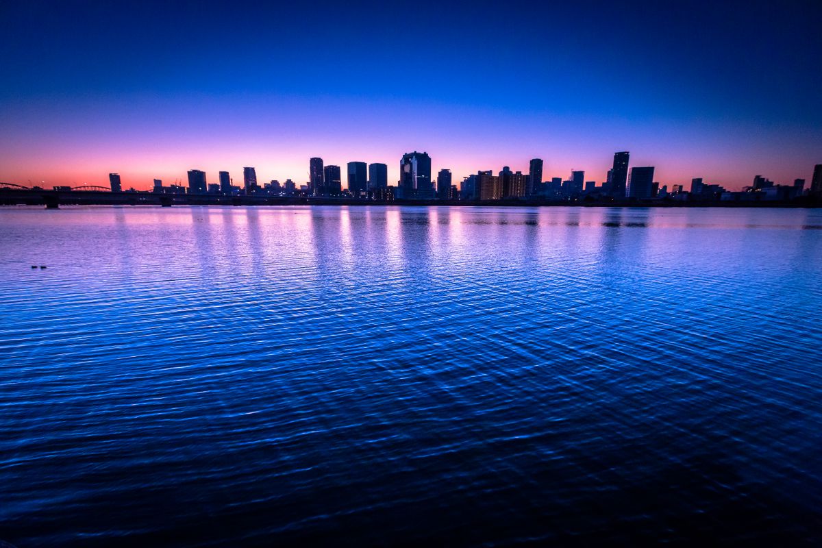 ひろぽんさんのポートフォリオ | GANREF