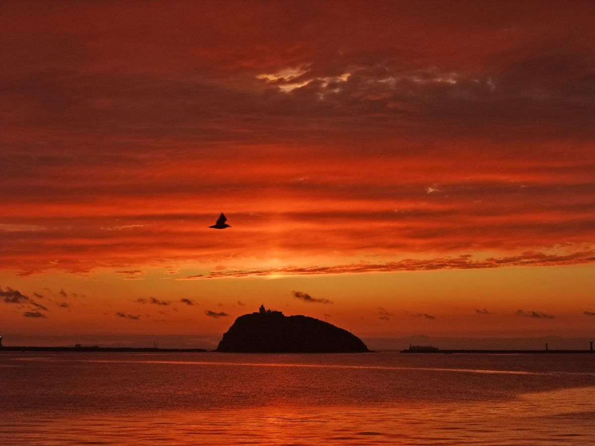 富士フィルム FinePix F200EXR　作例あり FinePix F200EXRで撮影された写真 | 写真検索 | GANREF