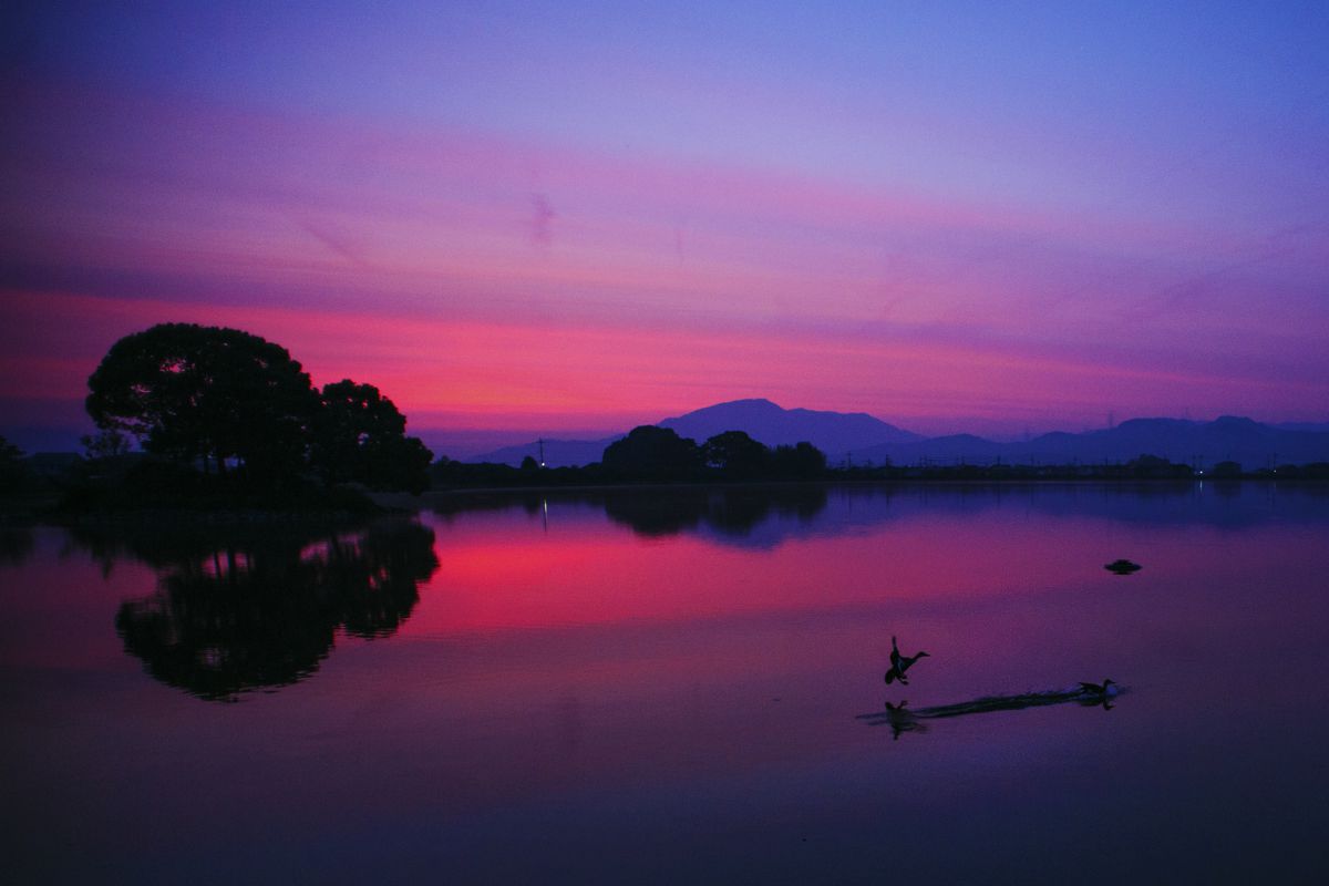 Ai AF Nikkor 20mm f/2.8Dで撮影された写真 | 写真検索 | GANREF