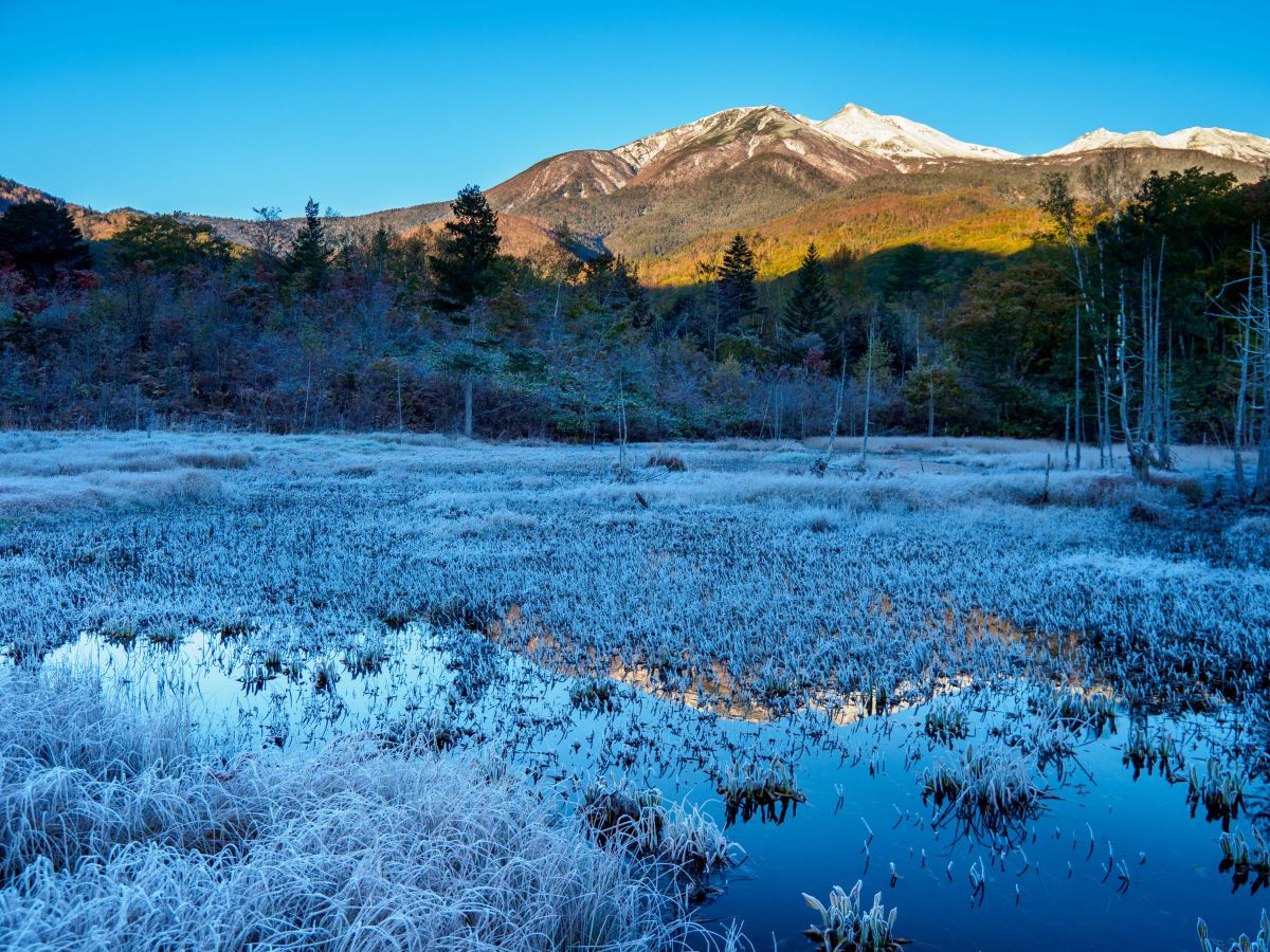 Winter prologue | GANREF
