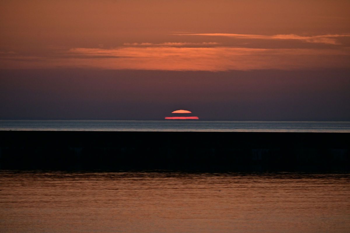 写真他諸々 カワサキ ZX-12R 2002年式 ZXT20Bの諸元・スペック情報 | ウェビック