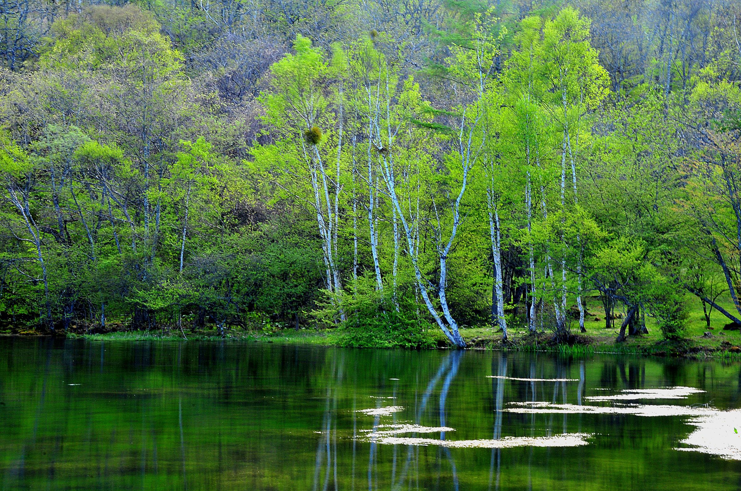 静かな湖畔 | GANREF
