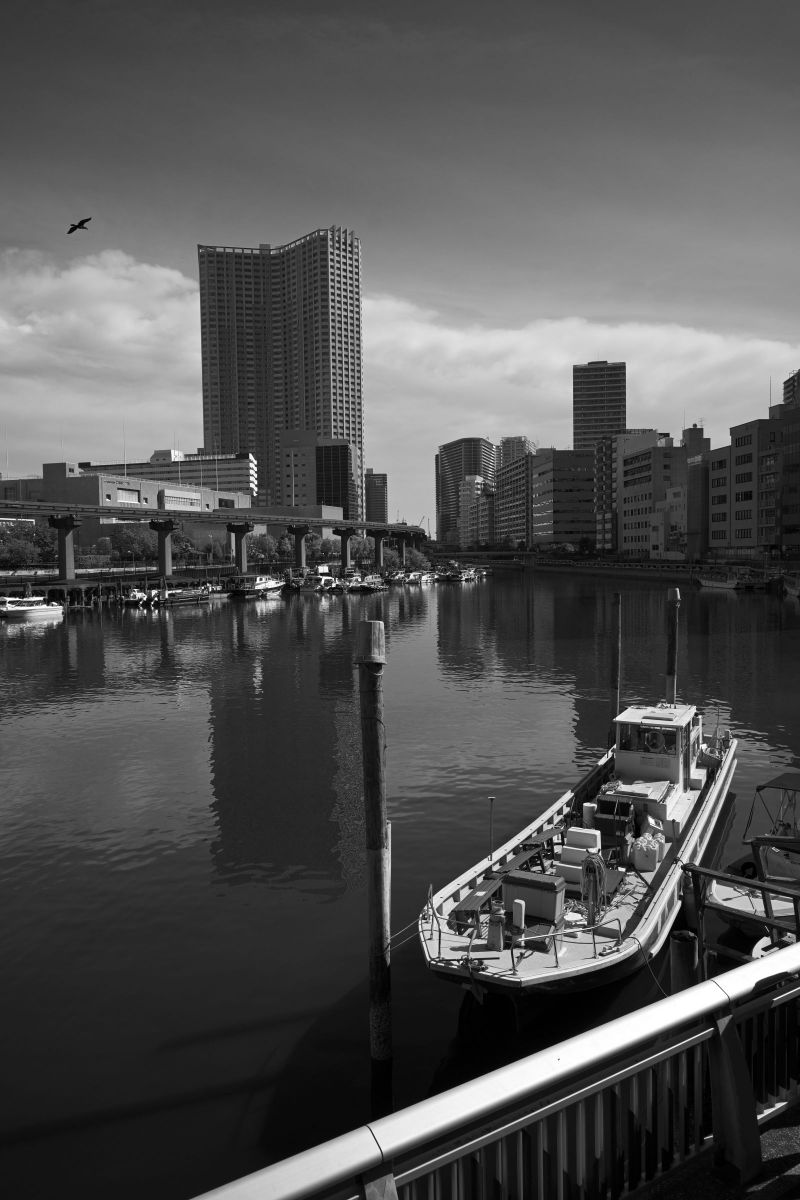 NIKKOR Z 26mm f/2.8で撮影された写真 | 写真検索 | GANREF