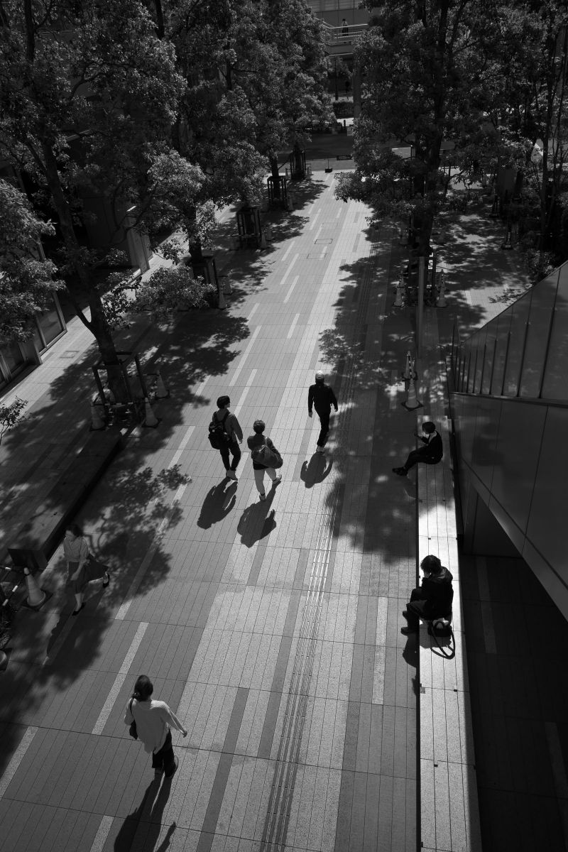 NIKKOR Z 26mm f/2.8で撮影された写真 | 写真検索 | GANREF
