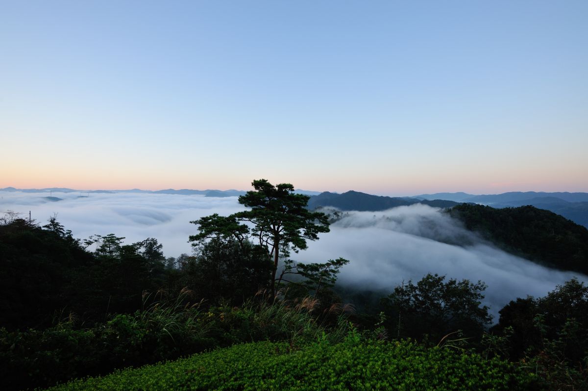 堰を切る 自然 風景 山 Ganref