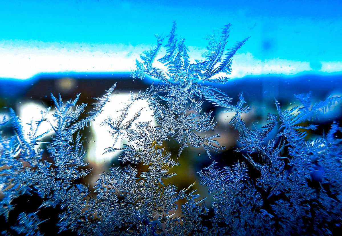 LUMIX DMC-TZ40で撮影された写真 | 写真検索 | GANREF