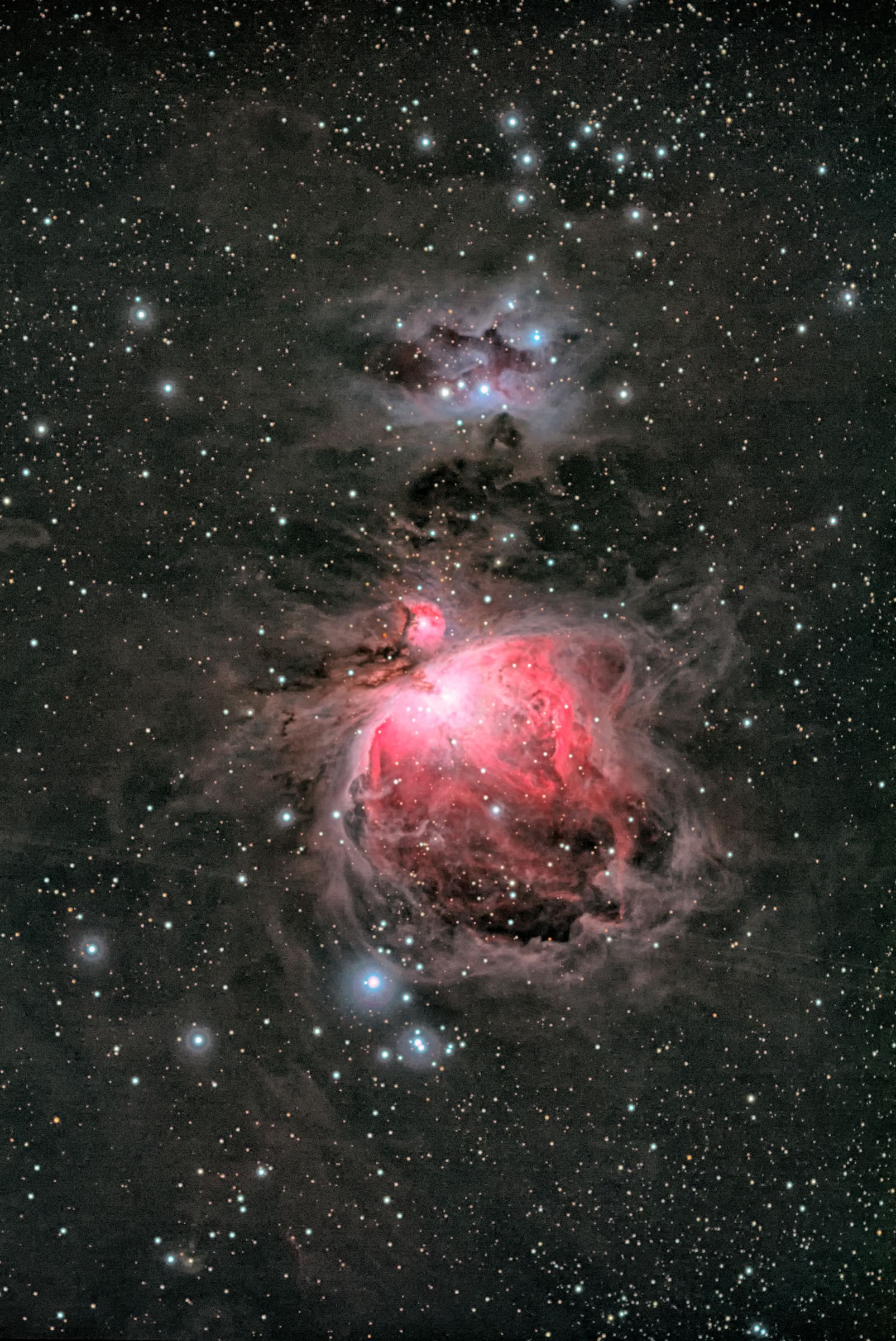 オリオン座 M42大星雲 | GANREF