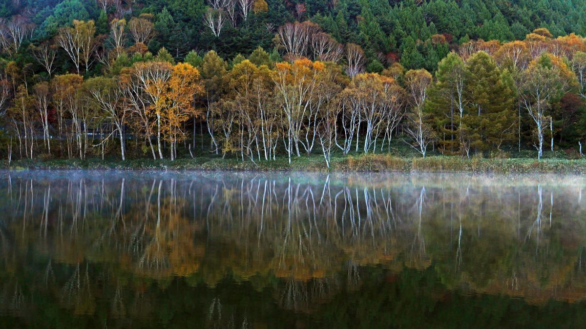 朝の静寂 | GANREF