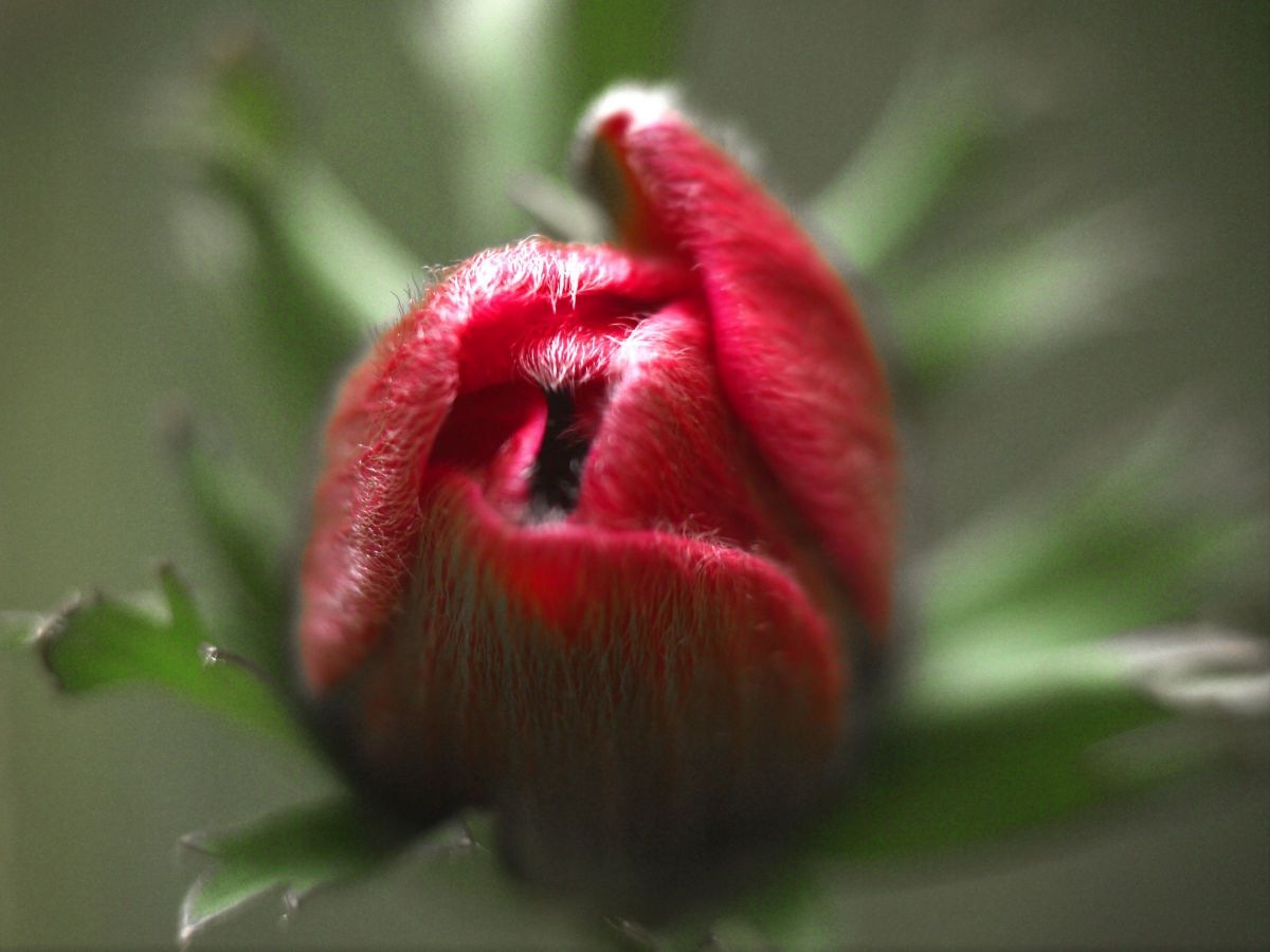 LUMIX DMC-GF3で撮影された写真 | 写真検索 | GANREF