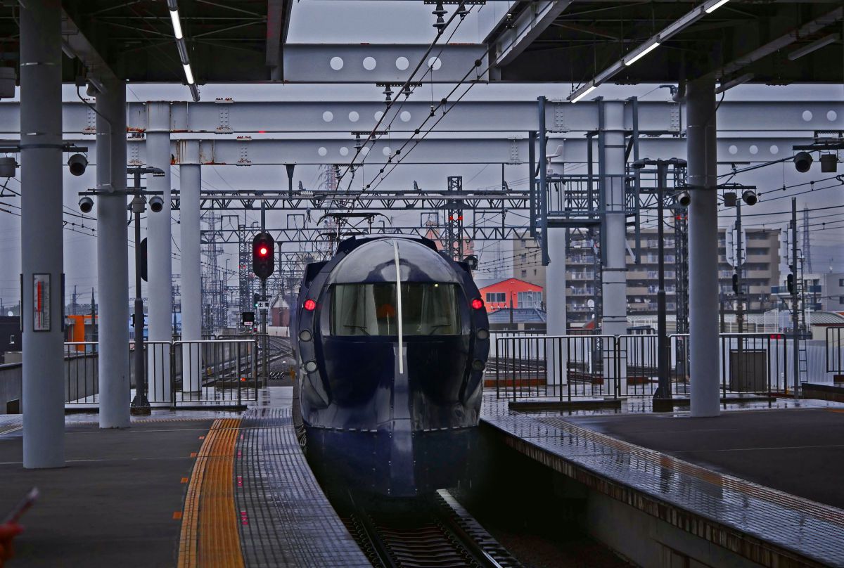 LUMIX G X VARIO PZ 45-175mm/F4.0-5.6 ASPH./ POWER O.I.S.で撮影され