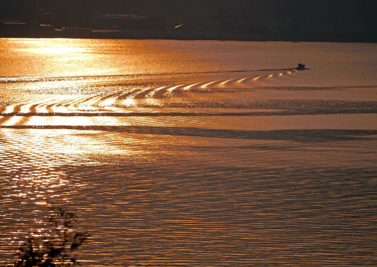 LUMIX G X VARIO PZ 45-175mm/F4.0-5.6 ASPH./ POWER O.I.S.で撮影され