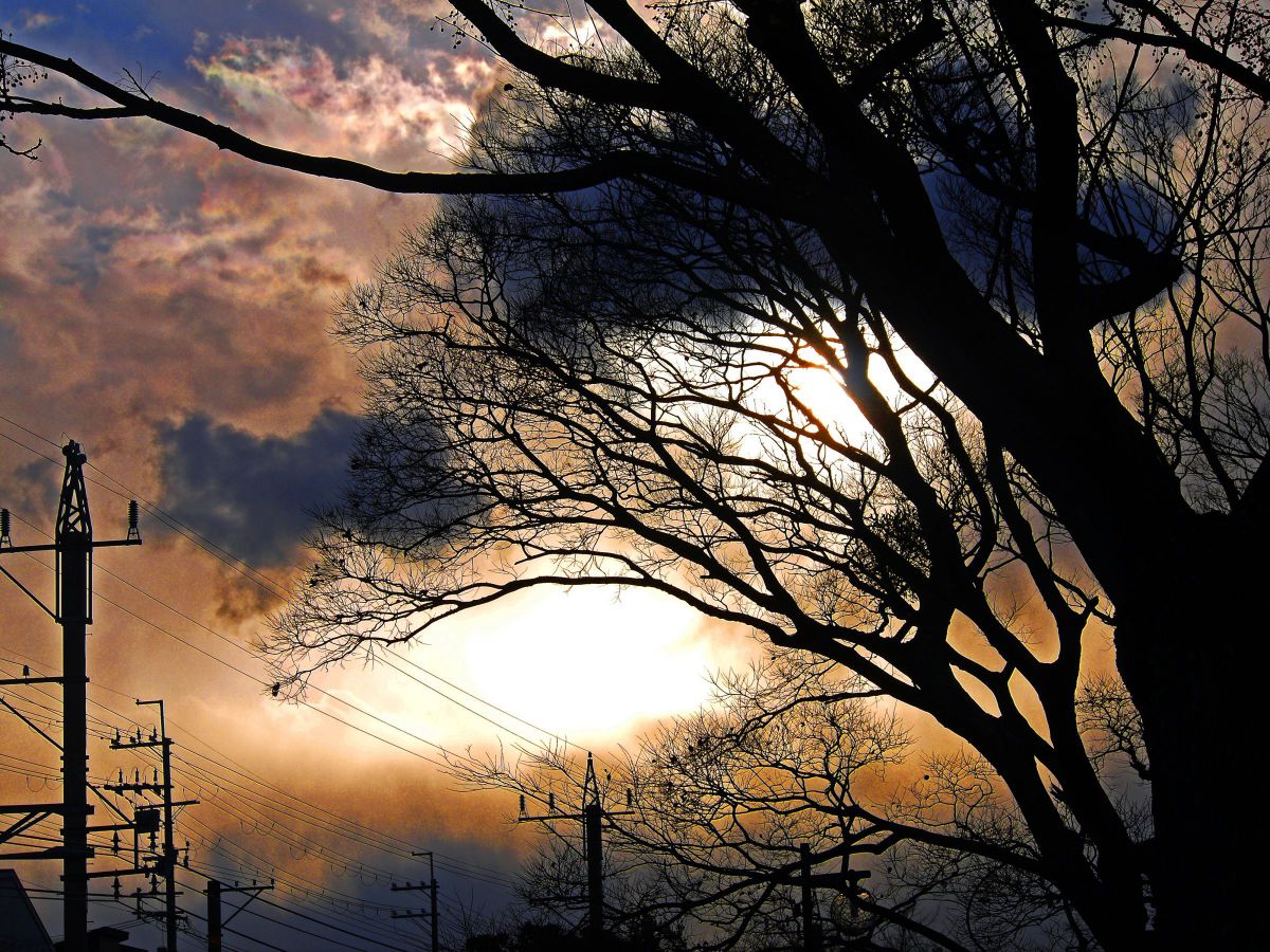 LUMIX DMC-GF3 【作例あり】 Panasonic Lumix DMC-GF3 sample image | Sample image taken wi… | Flickr