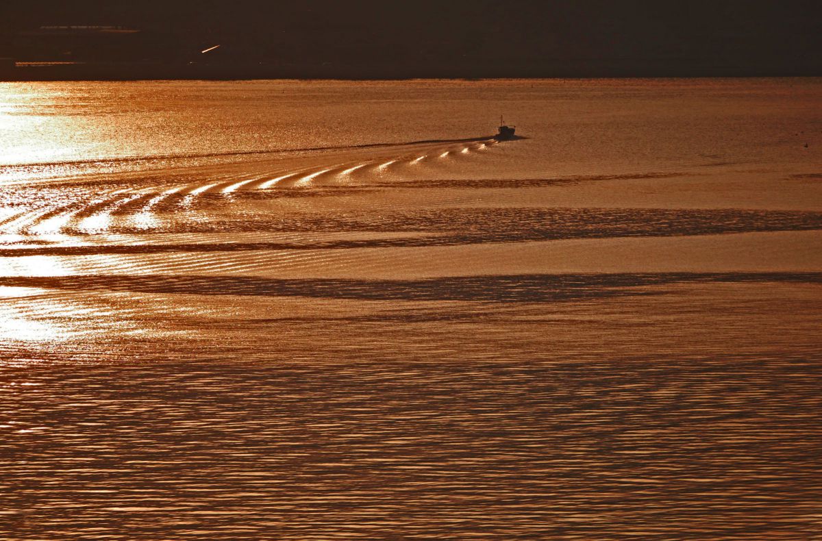 LUMIX G X VARIO PZ 45-175mm/F4.0-5.6 ASPH./ POWER O.I.S.で撮影され