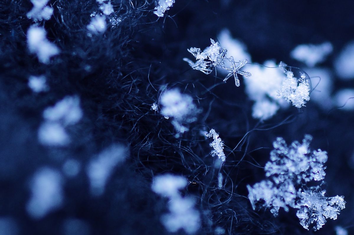 雪の結晶の撮影にチャレンジ  GANREF