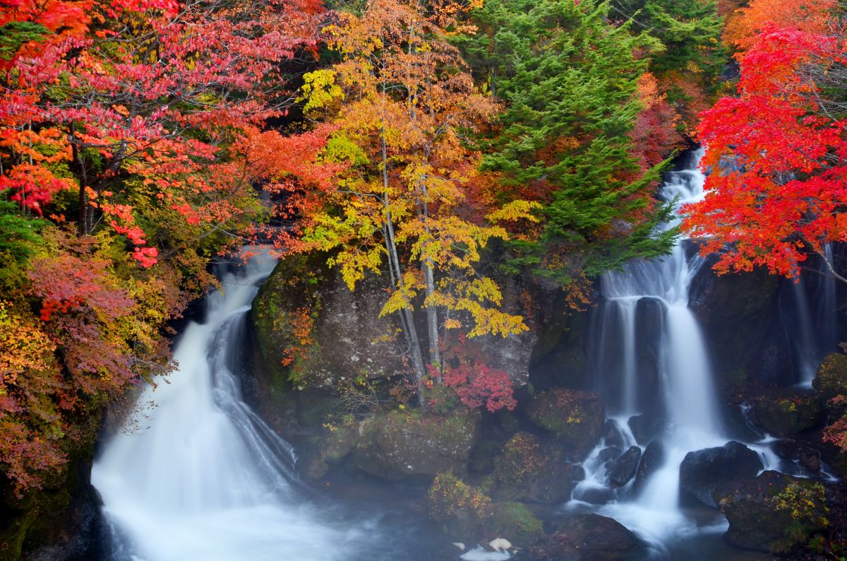 注目の福袋をピックアップ 滝つぼの景色 自然 風景画 Labelians Fr