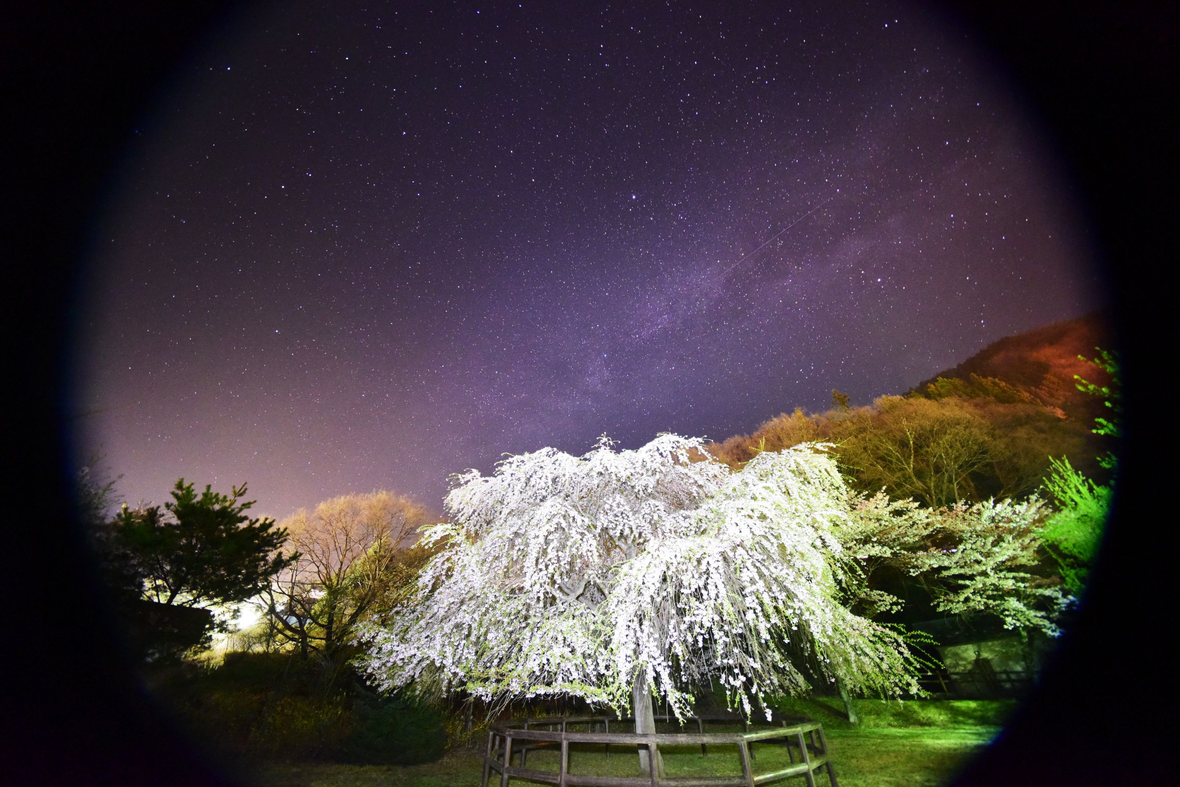 桜・天の川・こと座流星群 | GANREF