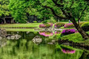 六義園(額縁付き) 045968809e5e8391fe886f213a7fbf