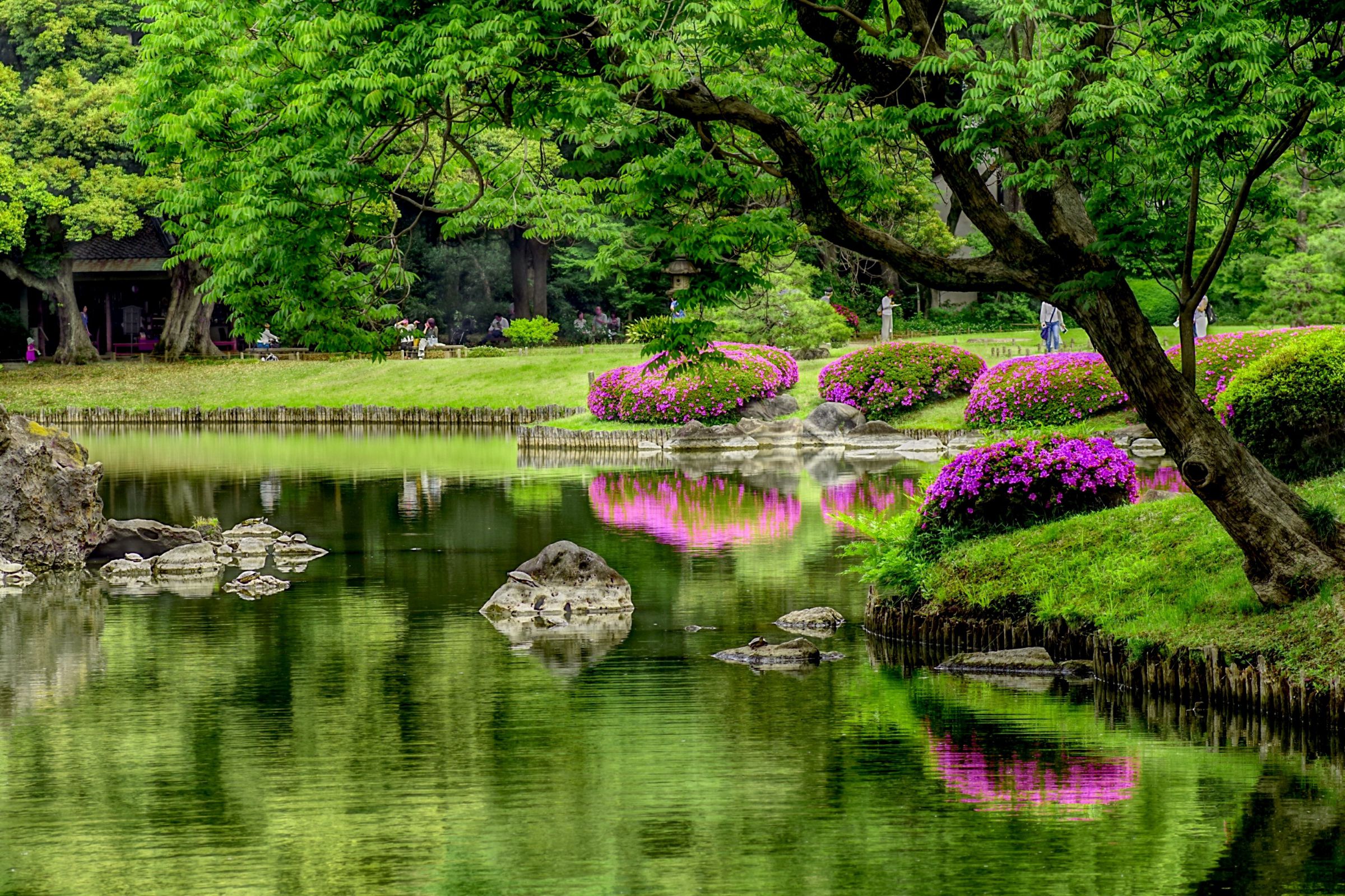 六義園(額縁付き) 六義園・夏の訪れ | GANREF
