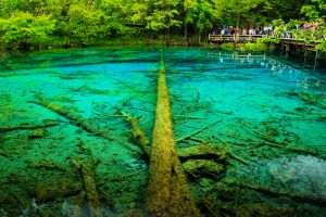 0a776a66d06edaca6347bdf192720a