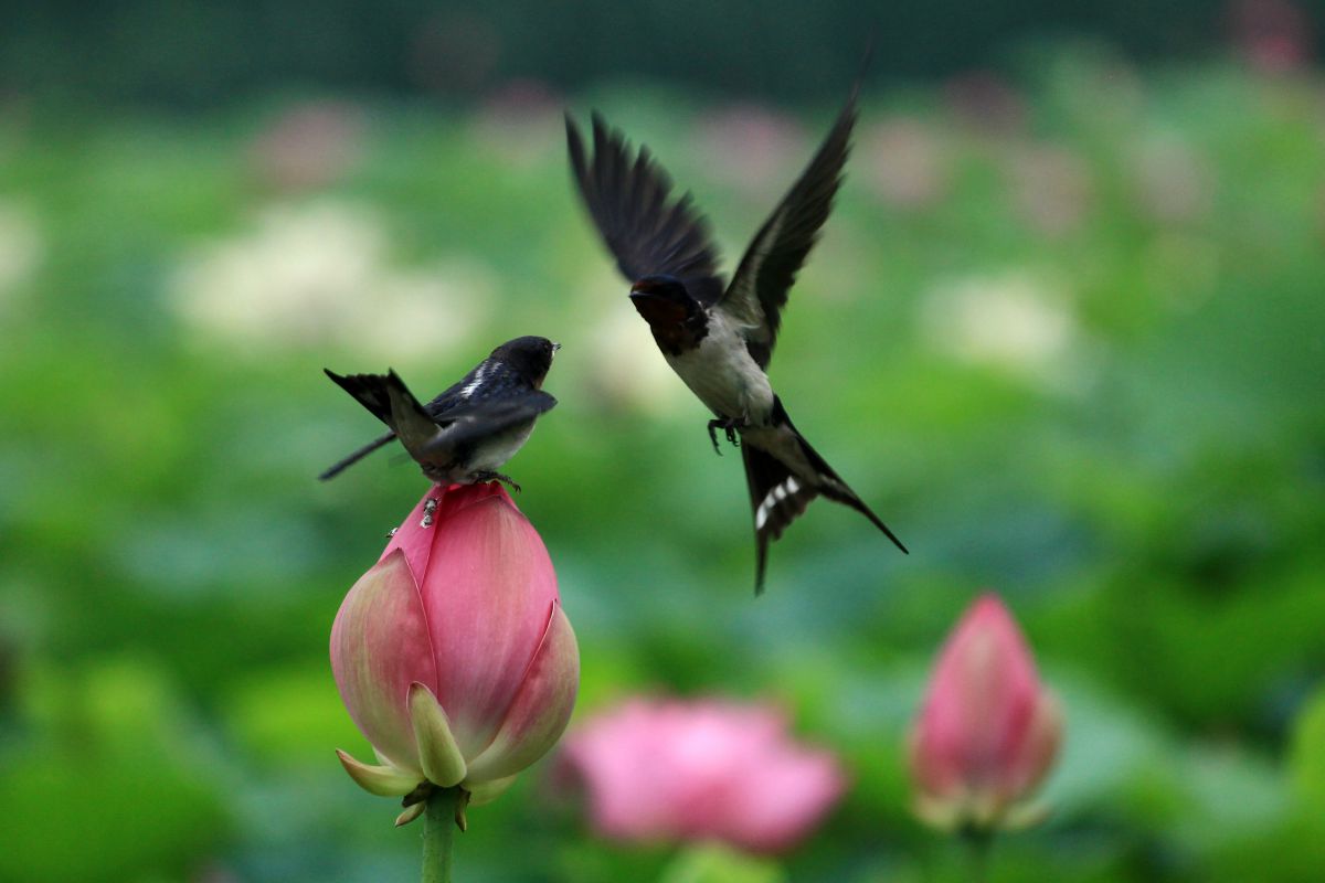 EOS Kiss X4で撮影された写真 | 写真検索 | GANREF