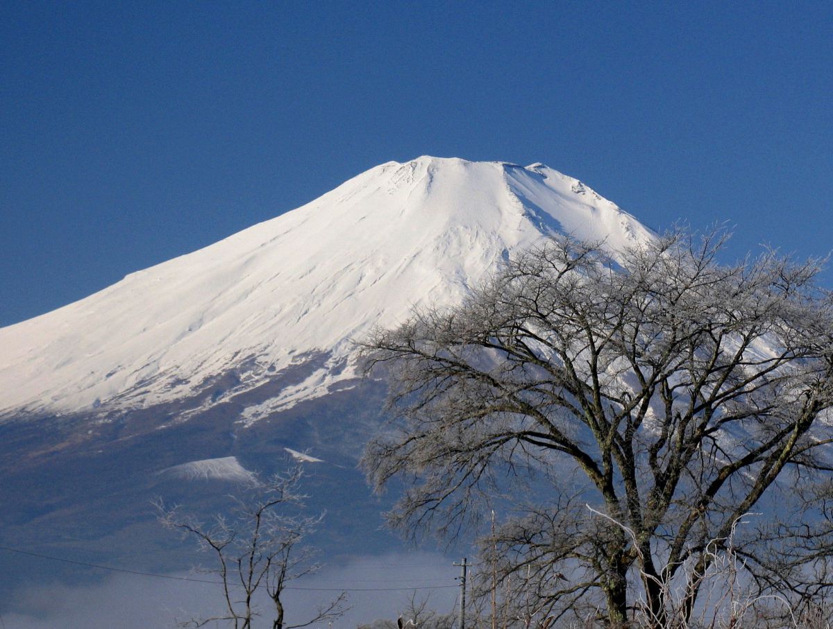 PowerShot Pro1で撮影された写真 | 写真検索 | GANREF