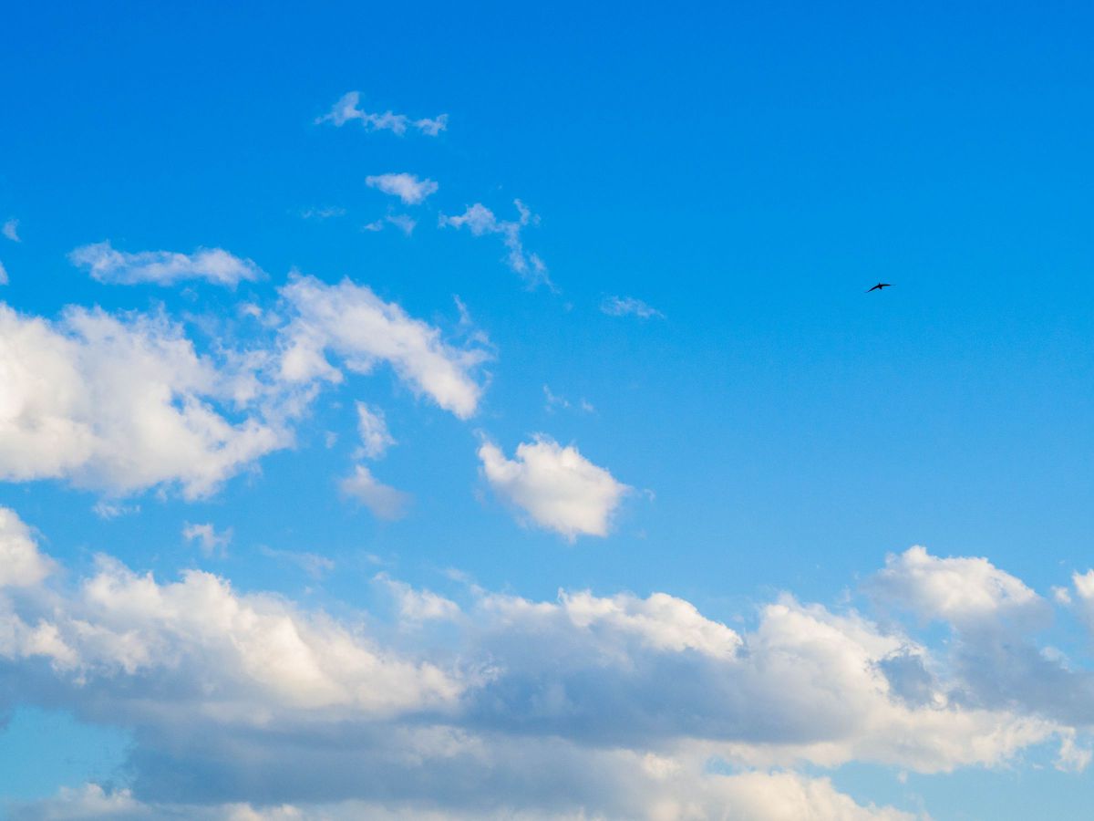 空と鳥 自然 風景 空 雲 Ganref