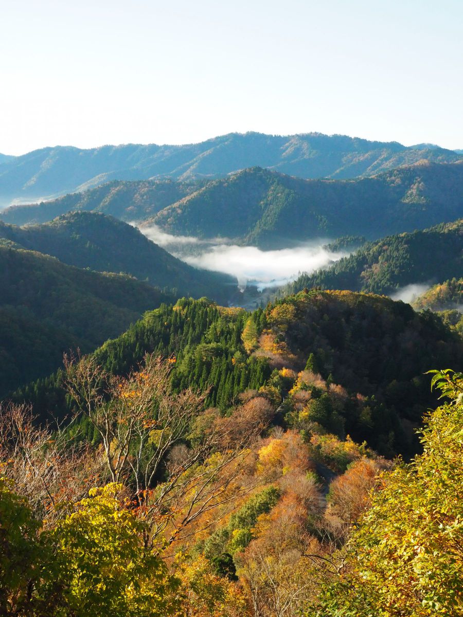 紅葉間近のおにゅう峠 自然 風景 山 Ganref