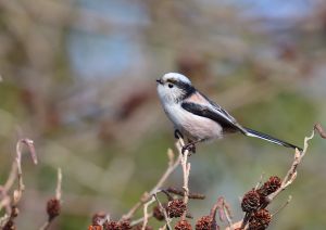 えなが 05161304_6826b93dcd5c9.jpg