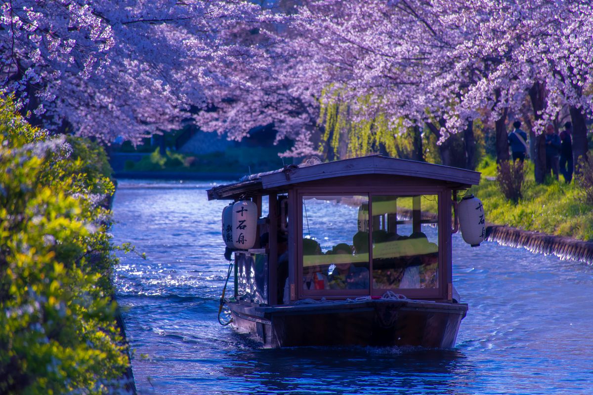 AF-S DX NIKKOR 18-140mm f/3.5-5.6G ED VRで撮影された写真 | 写真