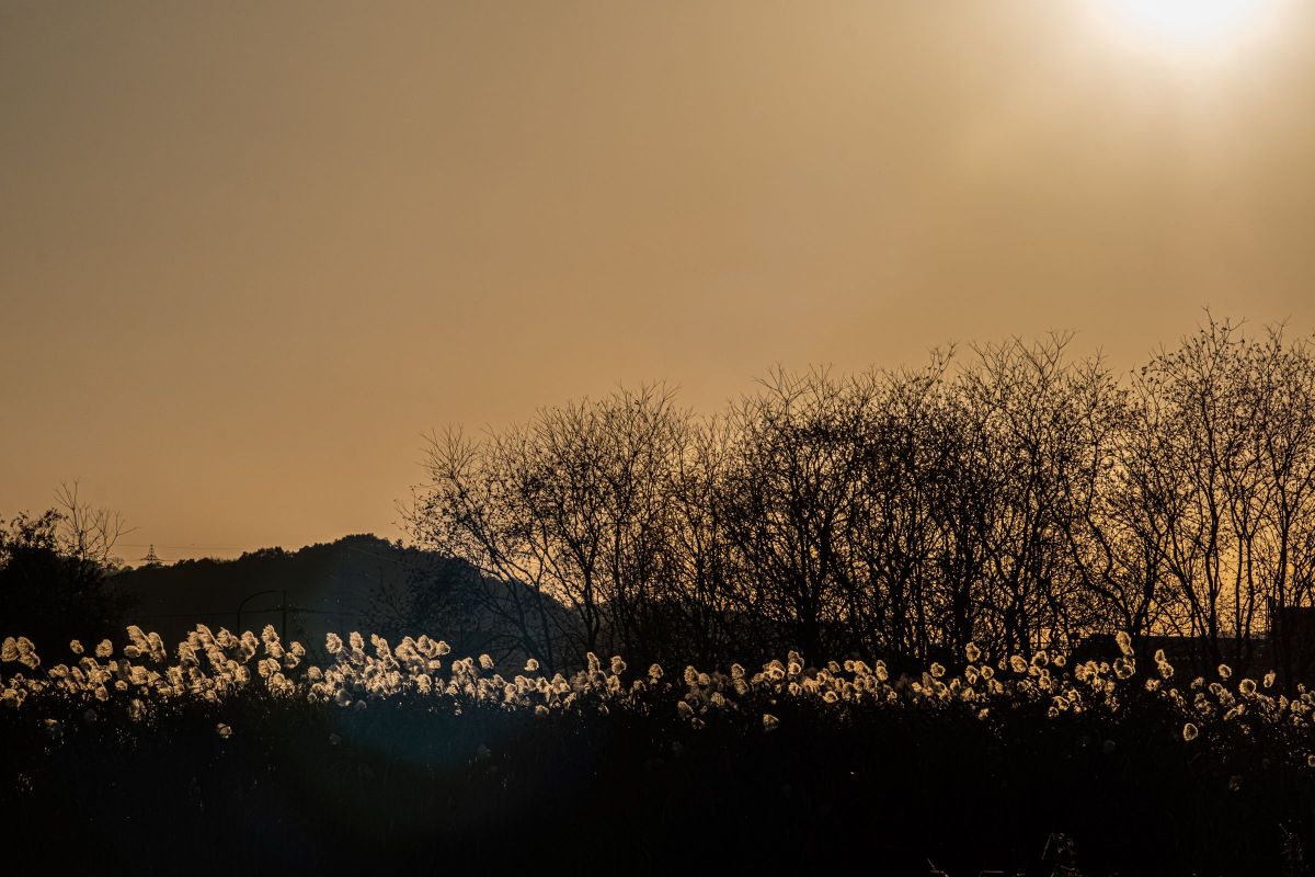 FUJIFILM X-H1で撮影された写真 | 写真検索 | GANREF