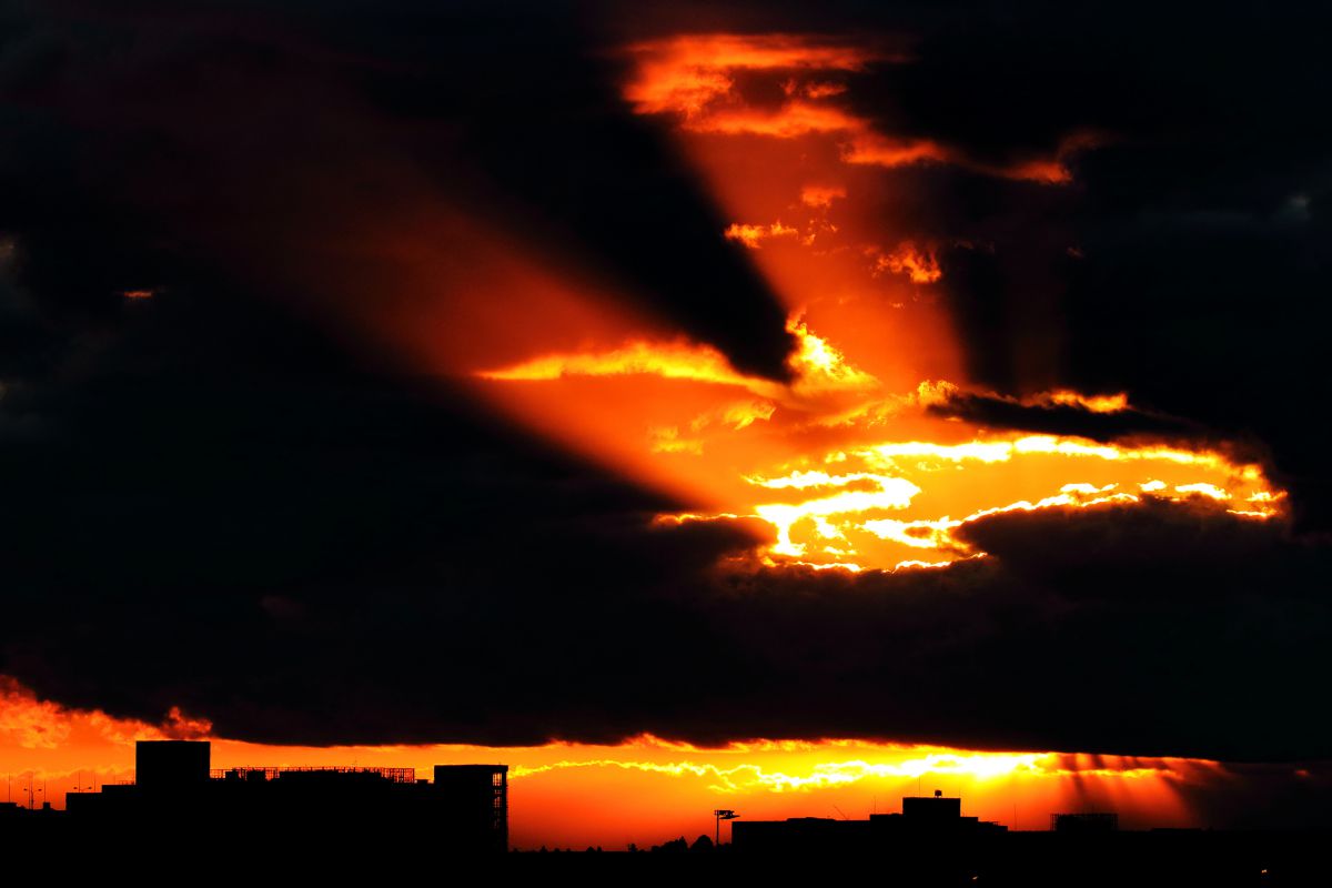 火の鳥 自然 風景 空 雲 Ganref